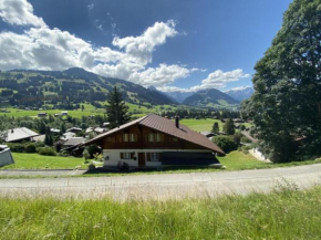 Apartment Sonnige Matte by Interhome Gstaad
